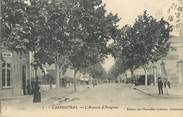 84 Vaucluse CPA FRANCE 84 " Carpentras, L'Avenue d'Avignon"