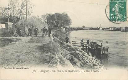 CPA FRANCE 84 " Avignon, Un coin de la Barthelasse, Le bac à Traille"