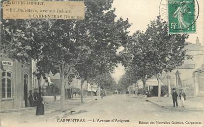 CPA FRANCE 84 "Carpentras, Avenue d'Avignon"
