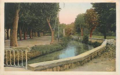 CPA FRANCE 84 " L'Isle sur Sorgue, Allée de Villevieille"