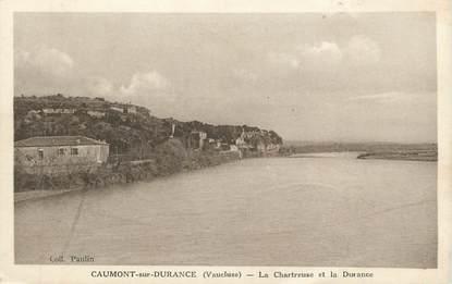 CPA FRANCE 84 " Caumont sur Durance, La Chartreuse et la Durance"