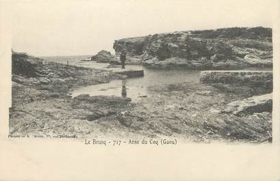 CPA FRANCE 83 " Le Brusc, Anse du Coq"