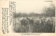 13 Bouch Du Rhone CPA FRANCE 13 "En Camargue, série la Provence" / FOLKLORE / JEAN AICARD