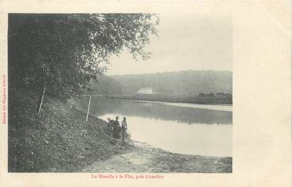 CPA FRANCE 54 " Près de Liverdun, La Moselle à la Flie"
