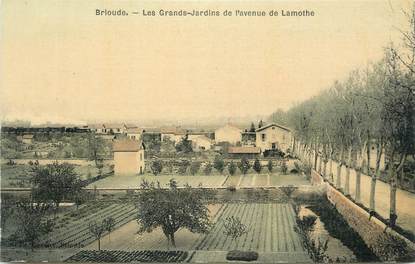 CPA FRANCE 43 " Brioude, Les Grands Jardins de l'Avenue Lamothe"