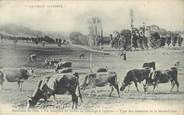 43 Haute Loire CPA FRANCE 43 "Lafarre, Un troupeau de vaches au pâturage"