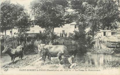 CPA FRANCE 43 " St Bonnet le Froid, La Ferme de Montérimard"