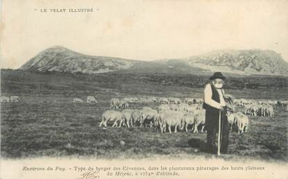 CPA FRANCE 43 " Environs du Puy, Les Hauts Plateaux du Mezenc, Un berger des Cévennes dans les pâturages"