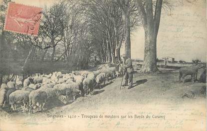 CPA FRANCE 83 " Brignoles, Troupeau de moutons sur les bords du Caramy"
