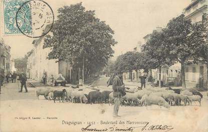 CPA FRANCE 83 " Draguignan, Boulevard des Marronniers"