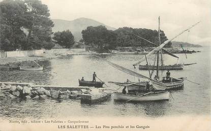 CPA FRANCE 83 "Les Salettes, Les pins penchés et les Ganguis"