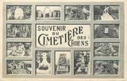 92 Haut De Seine / CPA FRANCE 92 "Souvenir du cimetière des chiens"