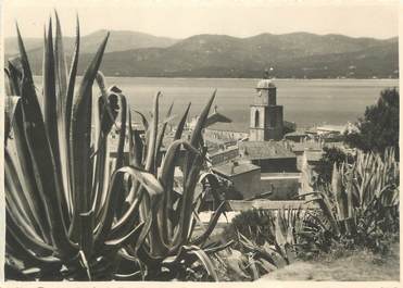 CPSM FRANCE 83 "St Tropez, Vue sur le Golfe"