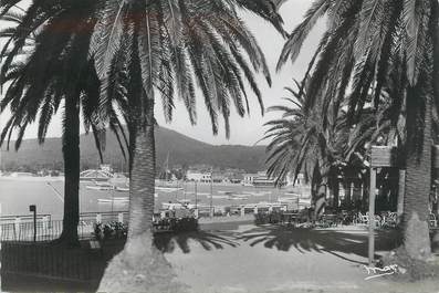 CPSM FRANCE 83 " Ste Maxime sur Mer, Vue prise de la Place des Palmiers"