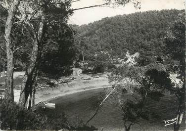 CPSM FRANCE 83 " St Cyr Sur Mer - Les Lecques, Le port d'Alon"