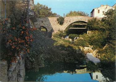 CPSM FRANCE 83 " Trans en Provence, Vieux pont sur la Nartuby"