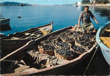 CPSM FRANCE 83 " Tamaris, Les Moules de Toulon à quai'