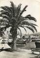 83 Var CPSM FRANCE 83 " Sanary sur Mer, Un coin du port"