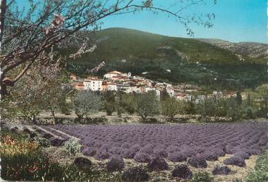 CPSM FRANCE 83 " Seillans, Vue générale"