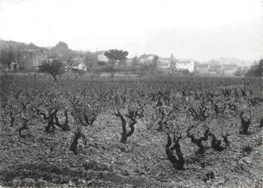 CPSM FRANCE 83 " Le Plan du Castellet, Vue d'ensemble"