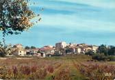 83 Var CPSM FRANCE 83 " Puget sur Argens, Vue générale"