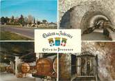 83 Var CPSM FRANCE 83 " Puget sur Argens, Domaines Fleurquin"