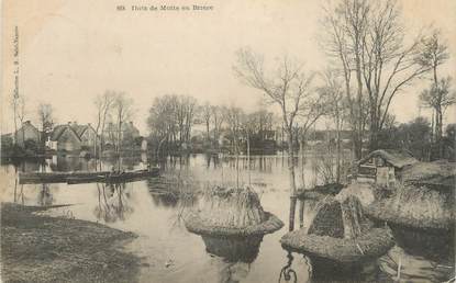 CPA FRANCE 44 " Motte en Brière, Les ilots"