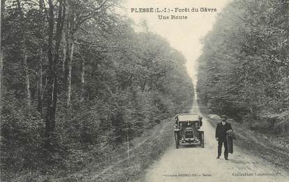 CPA FRANCE 44 " Plessé, Forêt du Gâvre , une route"