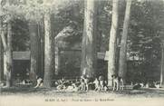 44 Loire Atlantique CPA FRANCE 44 "Blain, Forêt du Gâvre, le rond point"