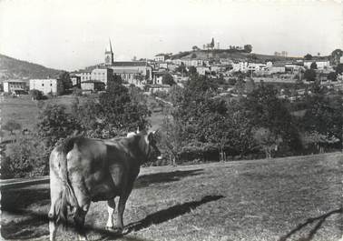 CPSM FRANCE 69 " Villechenève, Vue générale"