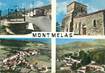 CPSM FRANCE 69 "Montmelas, Vues"