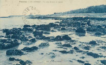 CPA FRANCE 17 " Fouras, Le Cadoret, Un coin de mer et sapins"