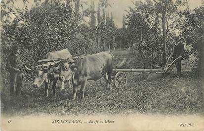 CPA FRANCE 73 " Aix les Bains, Boeufs au labour"