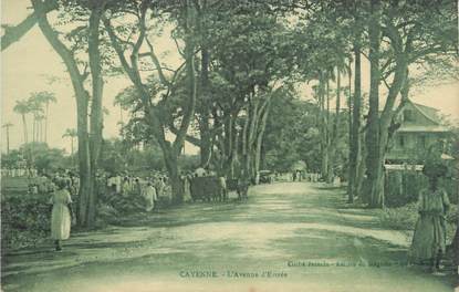 CPA GUYANE " Cayenne, L'Avenue d'Estrée"