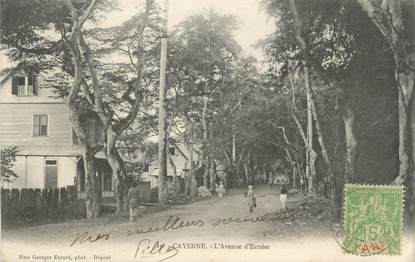 CPA GUYANE " Cayenne, L'Avenue d'Estrée"