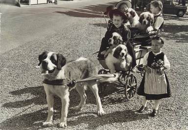 CPSM SUISSE " Voiture à chiens"