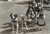 Animaux CPSM SUISSE " Voiture à chiens"