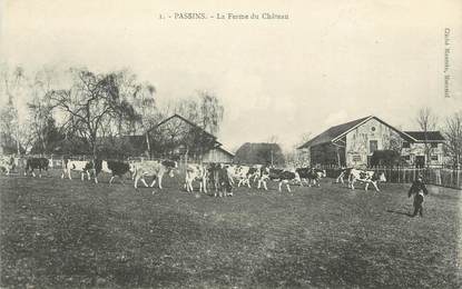 CPA FRANCE 38 " Passins, La ferme du château"