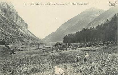 CPA FRANCE 73 " Pralognan , Le Vallon de Chavière et le Petit Mont Blanc"