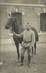 CARTE PHOTO FRANCE 73 " Chambéry, Un cavalier et son cheval"