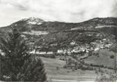 73 Savoie CPSM FRANCE 73 "Le Chatelard, Le Mont Julioz"
