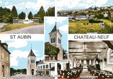/ CPSM FRANCE 89 "Saint Aubin Châteauneuf,  vue générale"