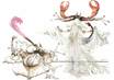 CPSM ASTROLOGIE ZODIAQUE "Scorpion" / RONALD SEARLE