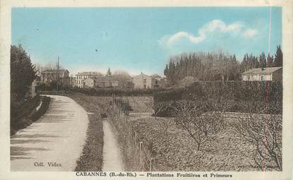 CPA FRANCE 13 "Cabannes, Plantations fruitières et primeurs"