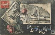 13 Bouch Du Rhone CPA FRANCE 13 " Peyraud, Vues"
