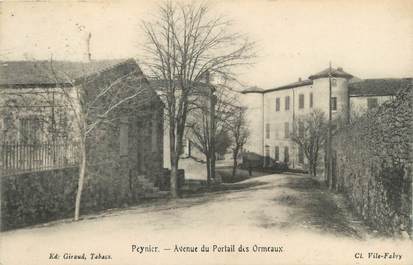 CPA FRANCE 13 " Peynier, Avenue du Portail des Ormeaux"