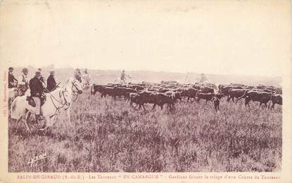 CPA FRANCE 13 " Salin de Giraud, Les taureaux en Camargue" / MANADE