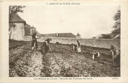 CPA FRANCE 73 " Tamié, Les Moines de l'Abbaye à la récolte de pommes de terre"