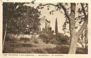 73 Savoie CPA FRANCE 73 " Bourdeau, Le château"