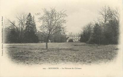 CPA FRANCE 77 " Bourron, La pelouse du château"